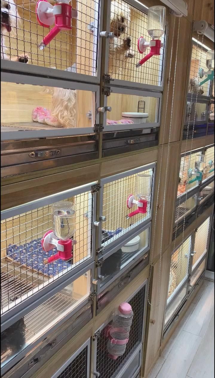 如何判斷養殖場的可信度？（判斷養殖場的可信度需從資質、設施、環保及合作模式等多維度綜合評估）