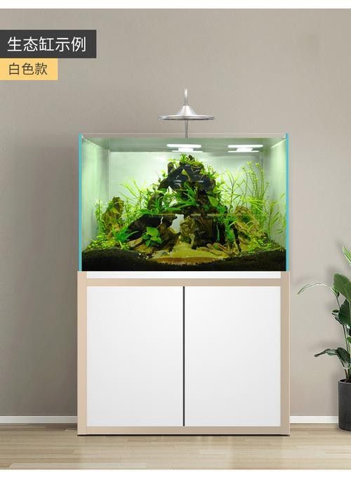 如何聯系西龍魚缸總部（中山市祥龍電器有限公司西龍魚缸總部聯系方式如下）