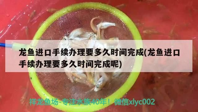 南寧龍魚價(jià)格查詢表圖片：南寧廣龍魚（2016款南寧市龍魚價(jià)格查詢表：南寧市龍魚2.5l發(fā)動(dòng)機(jī)）