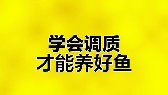 如何調節魚缸的水質？（養魚老道，魚缸水總渾濁3步讓水清澈透亮） 如何調節魚缸的水質？（養魚老道，魚缸水總渾濁3步讓水清澈透亮） 龍魚百科 第1張