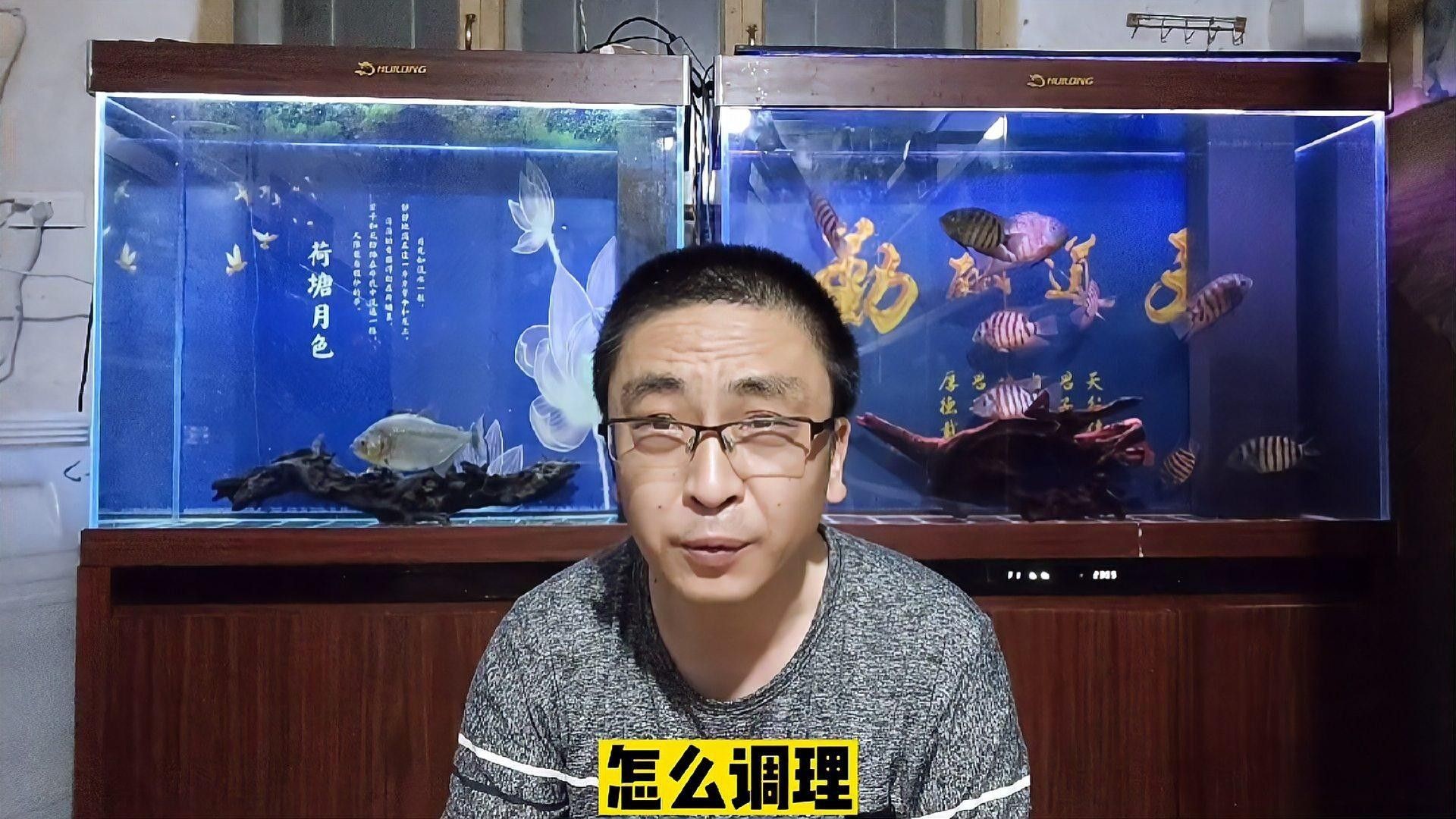 如何調節魚缸的水質？（養魚老道，魚缸水總渾濁3步讓水清澈透亮） 如何調節魚缸的水質？（養魚老道，魚缸水總渾濁3步讓水清澈透亮） 龍魚百科 第2張