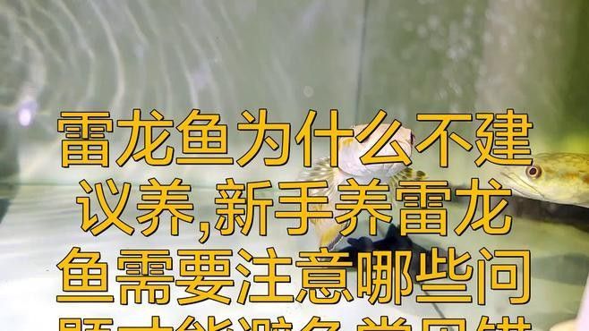 如何正確配制甲酚皂溶液，如何判斷甲酚皂溶液的有效期和儲存條件是什么