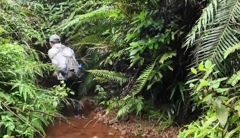 如何找到高清的雷龍魚視頻？（如何找到高清的野生雷龍魚視頻？）