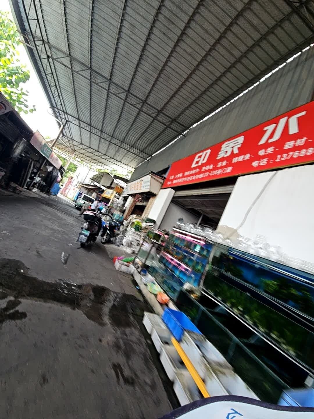 柳南哪個水族館龍魚好？祥龍魚場龍魚（廣西壯族自治區柳南區祥龍魚場）