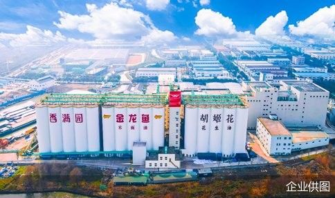 金龍魚中央廚房的技術優勢有哪些（金龍魚中央廚房技術優勢）