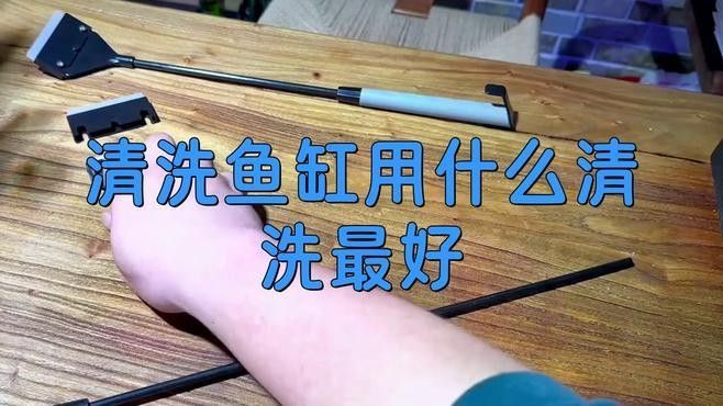如何清潔金龍魚缸背景（如何有效地清潔金龍魚缸的背景？）