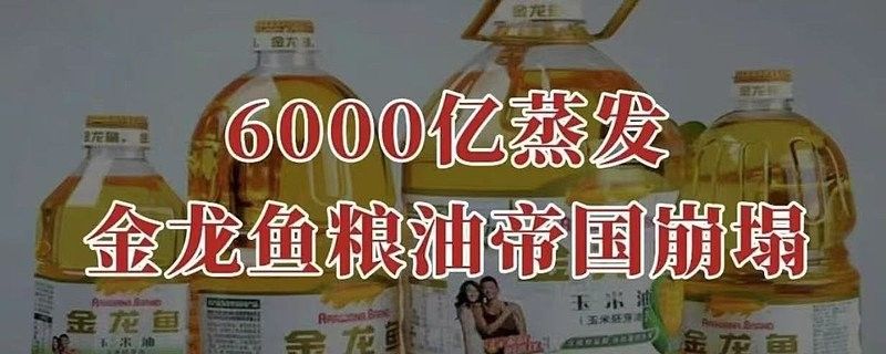 豐益國際的股東背景如何（豐益國際的主要業務有哪些豐益國際的主要業務是否穩定） 豐益國際的股東背景如何（豐益國際的主要業務有哪些豐益國際的主要業務是否穩定） 龍魚百科 第3張