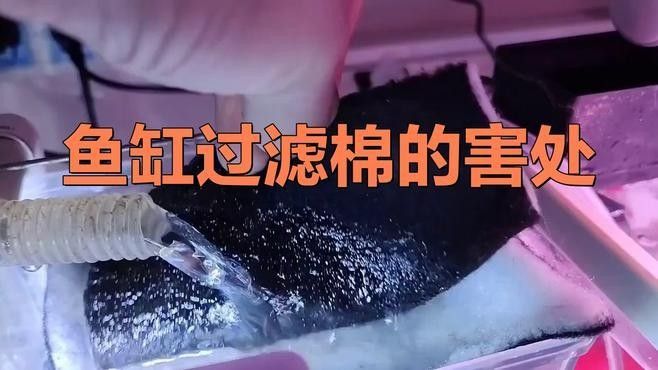 清洗過濾棉時需要注意什么（清洗過濾棉的正確方法）
