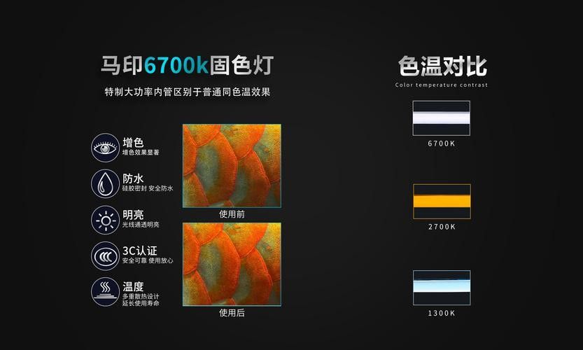 金龍魚燈光效果對比圖有哪些（養(yǎng)龍魚四種燈光哪個更適合你）
