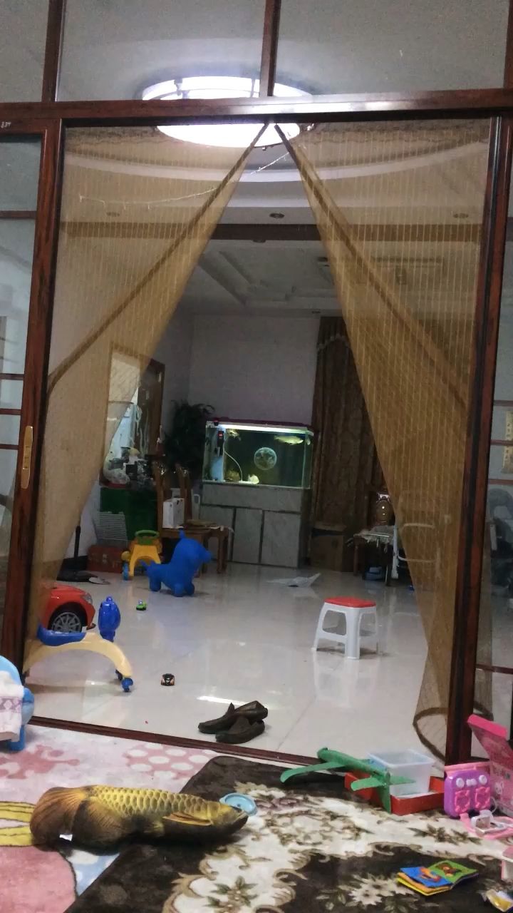 帶帶娃，賞賞魚（有娃陪，有魚賞，生活豈不是悠哉悠哉,抽獎絕緣體） 帶帶娃，賞賞魚（有娃陪，有魚賞，生活豈不是悠哉悠哉,抽獎絕緣體） 觀賞魚百科