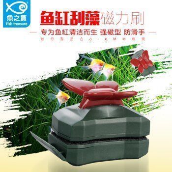金龍魚品種等級劃分標準（金龍魚品種等級劃分標準的五個疑問句） 金龍魚品種等級劃分標準（金龍魚品種等級劃分標準的五個疑問句） 觀賞魚百科