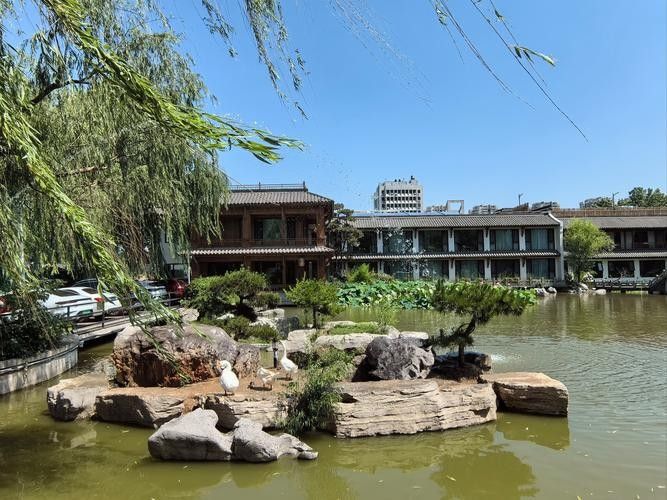 無棣漁家樂（山東無棣漁家樂推薦幾家評價最高的無棣漁家樂） 無棣漁家樂（山東無棣漁家樂推薦幾家評價最高的無棣漁家樂） 觀賞魚百科 第4張