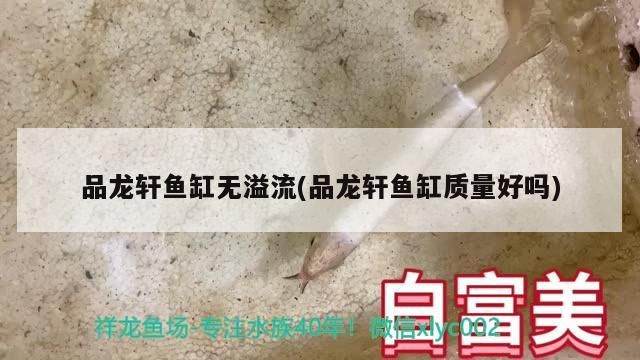 品龍軒魚缸無溢流(品龍軒魚缸質量好嗎)（榮登“2020年度生態魚缸行業十大品牌”品牌榜單）