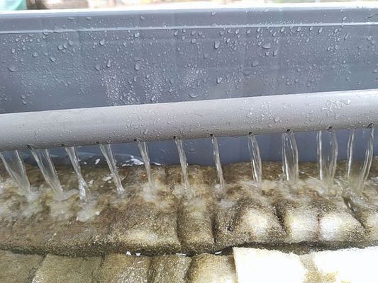 為什么龍魚會跳缸的原因分析（為什么龍魚會跳缸的原因分析圖）（為什么龍魚會跳缸） 為什么龍魚會跳缸的原因分析（為什么龍魚會跳缸的原因分析圖）（為什么龍魚會跳缸） 觀賞魚百科