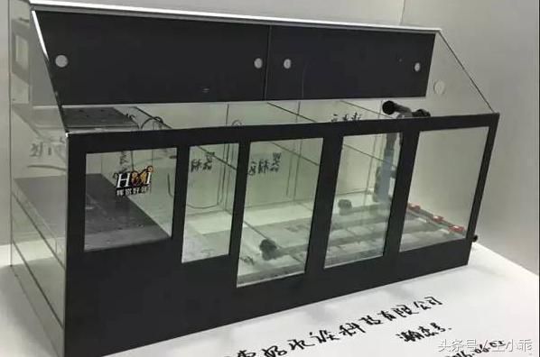 龍魚死了是擋災的嗎（龍魚死了是擋災的嗎為什么）（龍魚死亡與擋災有關的疑問，龍魚死亡與擋災的關系需要了解）