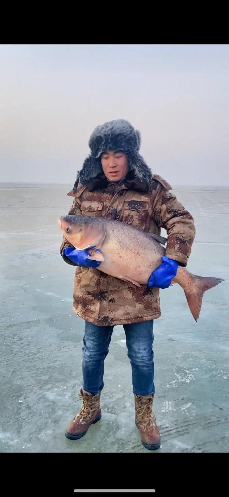康平臥龍湖魚價格（康平臥龍湖魚價格受多種因素影響康平臥龍湖魚價格波動大嗎） 康平臥龍湖魚價格（康平臥龍湖魚價格受多種因素影響康平臥龍湖魚價格波動大嗎） 觀賞魚百科 第3張