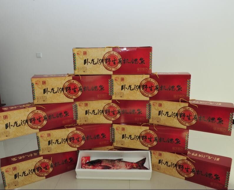 康平臥龍湖魚價格（康平臥龍湖魚價格受多種因素影響康平臥龍湖魚價格波動大嗎） 康平臥龍湖魚價格（康平臥龍湖魚價格受多種因素影響康平臥龍湖魚價格波動大嗎） 觀賞魚百科 第7張