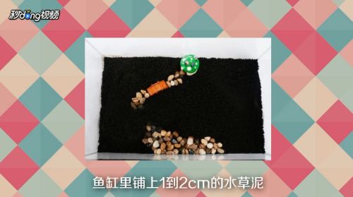 魚缸水族箱品牌排行榜大全圖片及價格(魚缸水族箱品牌排行榜大全圖片及價格表)（魚缸水族箱品牌排行榜大全）