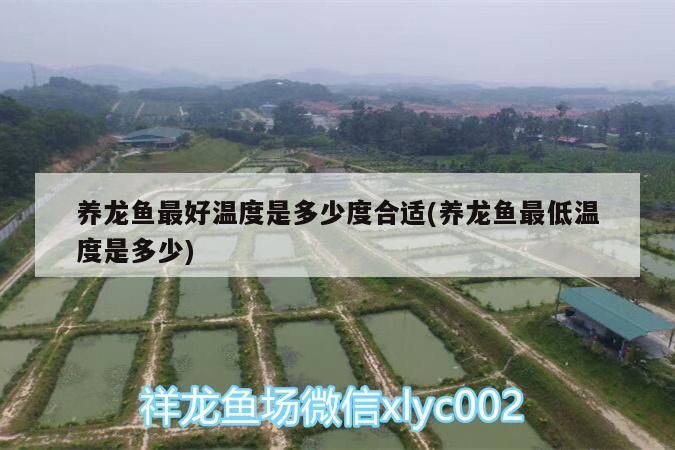 魚缸用增氧泵價格是多少:魚缸增氧機-xtrac增氧機-xtrac增氧機 養龍魚最好溫度是多少度合適(養龍魚最低溫度是多少) 觀賞魚百科 養龍魚最好溫度是多少度合適(養龍魚最低溫度是多少) 養龍魚最好溫度是多少度合適(養龍魚最低溫度是多少) 觀賞魚百科