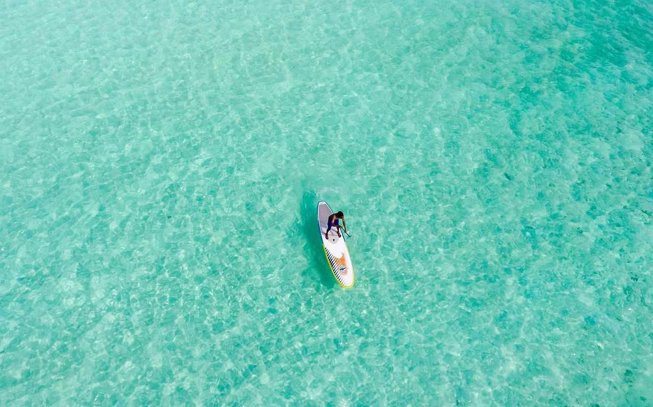 龍魚缸過濾棉多久換一次，龍魚缸過濾棉多久換一次比較好