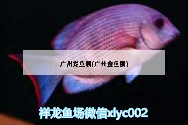 魚缸用增氧泵價格是多少:魚缸增氧機-xtrac增氧機-xtrac增氧機 廣州龍魚展(廣州金魚展)(2018年5月份廣州花地灣龍魚批發價格) 觀賞魚百科 廣州龍魚展(廣州金魚展)(2018年5月份廣州花地灣龍魚批發價格) 廣州龍魚展(廣州金魚展)(2018年5月份廣州花地灣龍魚批發價格) 觀賞魚百科