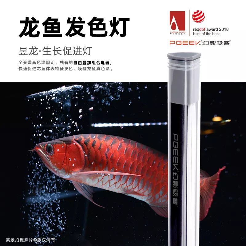 到手價僅239的龍魚發色燈(魚友幻影極客說今晚有直播,) 觀賞魚百科 第3張 到手價僅239的龍魚發色燈(魚友幻影極客說今晚有直播,) 到手價僅239的龍魚發色燈(魚友幻影極客說今晚有直播,) 觀賞魚百科 第3張