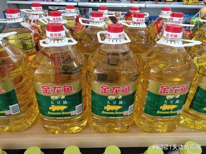 沭陽哪里有賣魚缸的店鋪啊（沭陽花鳥魚蟲市場在哪里）（宿遷沭陽花鳥市場） 沭陽哪里有賣魚缸的店鋪啊（沭陽花鳥魚蟲市場在哪里）（宿遷沭陽花鳥市場） 觀賞魚百科