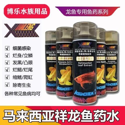 博樂龍魚（博樂水族商城聽，博樂龍魚的價格是多少？） 博樂龍魚（博樂水族商城聽，博樂龍魚的價格是多少？） 觀賞魚百科 第9張