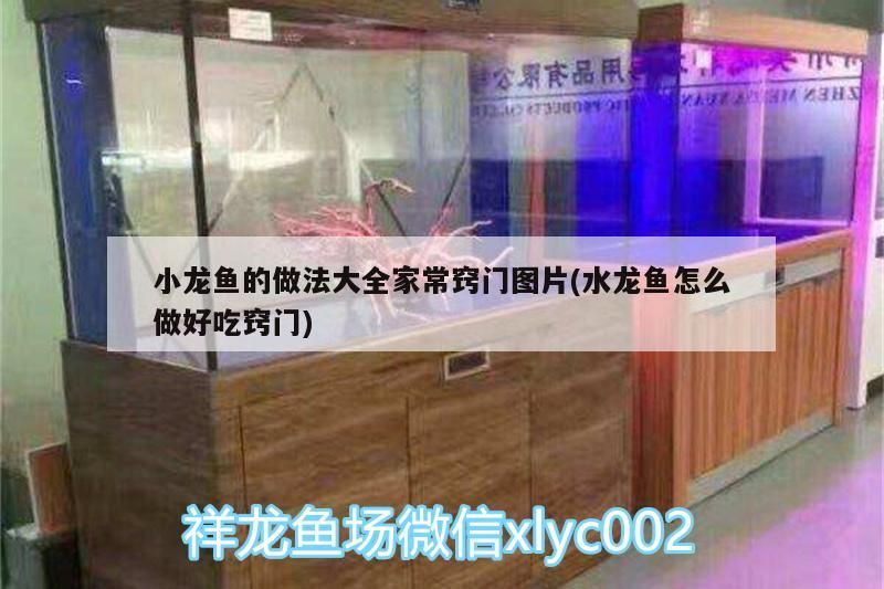 小龍魚的做法大全家常竅門圖片(水龍魚怎么做好吃竅門)（小龍魚怎么做好吃？） 小龍魚的做法大全家常竅門圖片(水龍魚怎么做好吃竅門)（小龍魚怎么做好吃？） 觀賞魚百科