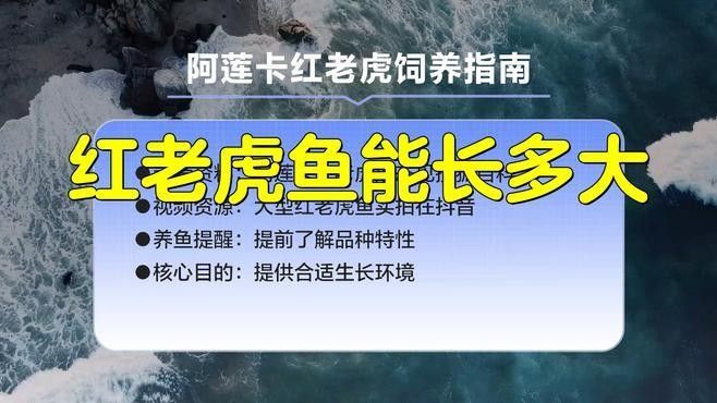 金龍魚側身游需要換水嗎？（金龍魚側身游如何判斷原因？）
