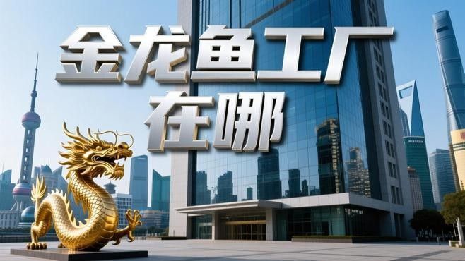 金龍魚的工廠在哪里（金龍魚廠家在哪里）