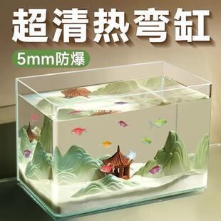 養(yǎng)龍魚(yú)需要什么水質(zhì)（養(yǎng)龍魚(yú)需要什么水質(zhì)才能養(yǎng)）（養(yǎng)殖龍魚(yú)的注意事項(xiàng)）