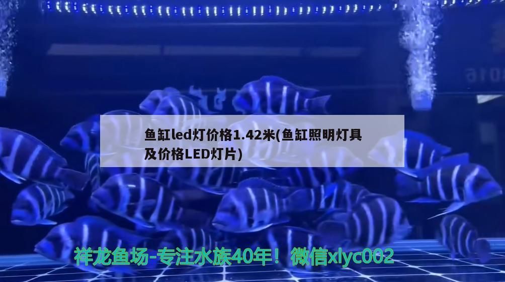 魚缸led燈價(jià)格1.42米(魚缸照明燈具及價(jià)格LED燈片)