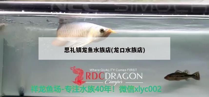 九江龍魚水族店：九江龍魚水族店怎么樣