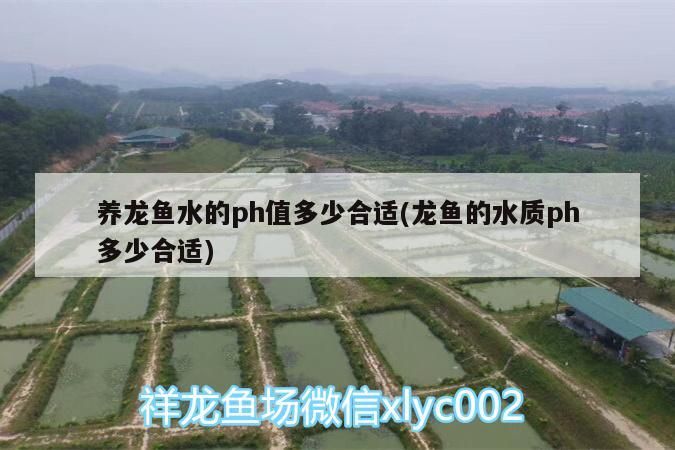 養龍魚水的ph值多少合適(龍魚的水質ph多少合適)（養龍魚水的ph值多少合適）