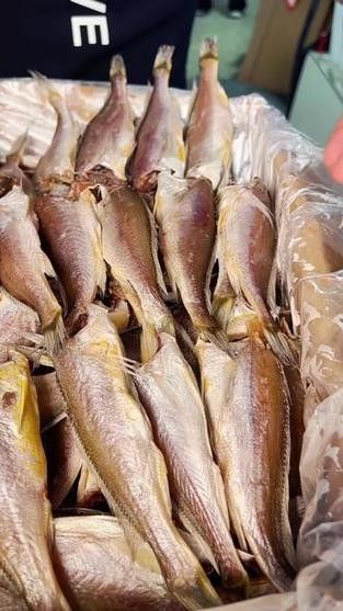 黃梅觀賞魚（黃梅觀賞魚的習性介紹和飼養方法和習性介紹） 黃梅觀賞魚（黃梅觀賞魚的習性介紹和飼養方法和習性介紹） 觀賞魚百科 第6張