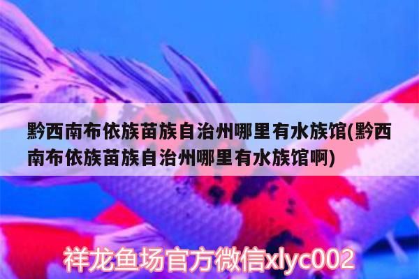 <strong><mark>黔西</mark></strong>南布依族苗族自治州哪里有水族館(<strong><mark>黔西</mark></strong>南布依族苗族自治州哪里有水族館啊)（青島<strong><mark>黔西</mark></strong>南布依族苗族自治州哪里有水族自治州哪里有水族館）