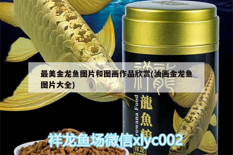 最美金龍魚圖片和圖畫作品欣賞(油畫金龍魚圖片大全)（最美金龍魚圖片）