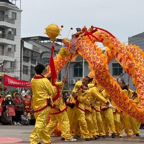 貴州玉屏大龍（貴州玉屏大龍的探索與發現） 貴州玉屏大龍（貴州玉屏大龍的探索與發現） 觀賞魚百科 第1張
