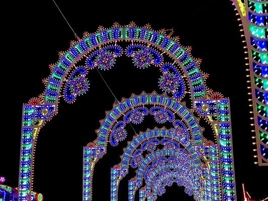 龍魚受驚嚇撞缸拒食（龍魚受驚嚇撞缸拒食怎么辦）（龍魚受到驚嚇撞缸拒食怎么辦）