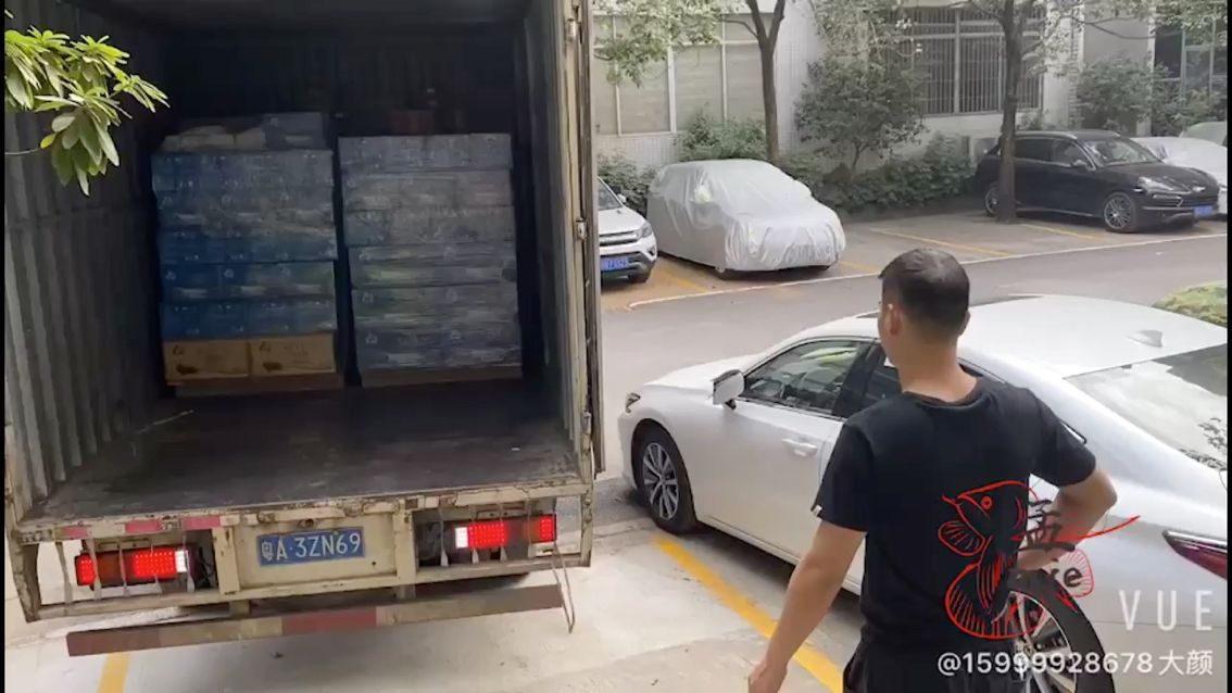 上海魚缸專賣店哪家好一點的（上海賣魚缸的地方）（上海最大的花鳥魚蟲市場是上海最大的花鳥魚蟲市場） 上海魚缸專賣店哪家好一點的（上海賣魚缸的地方）（上海最大的花鳥魚蟲市場是上海最大的花鳥魚蟲市場） 觀賞魚百科