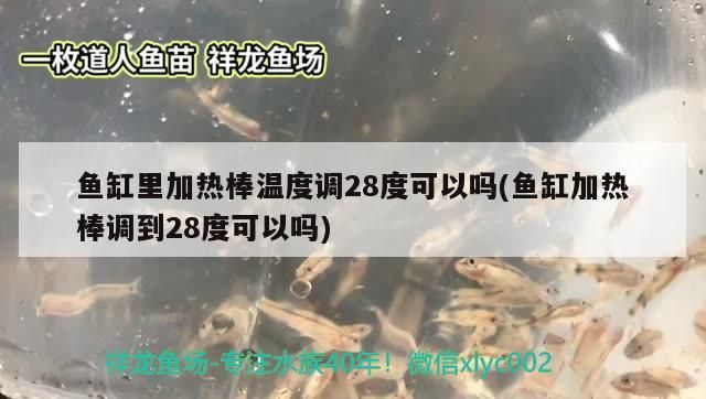 魚缸里加熱棒溫度調(diào)28度可以嗎(魚缸加熱棒調(diào)到28度可以嗎)（新手養(yǎng)魚，魚缸里加熱棒溫度調(diào)28度可以嗎） 魚缸里加熱棒溫度調(diào)28度可以嗎(魚缸加熱棒調(diào)到28度可以嗎)（新手養(yǎng)魚，魚缸里加熱棒溫度調(diào)28度可以嗎） 觀賞魚百科