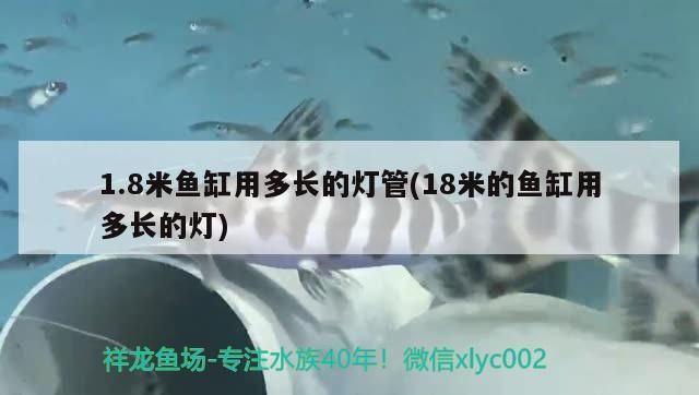 1.8米魚缸用多長的燈管(18米的魚缸用多長的燈)（1.8米魚缸用多長的燈管用多長的燈管適合水族箱及燈管）