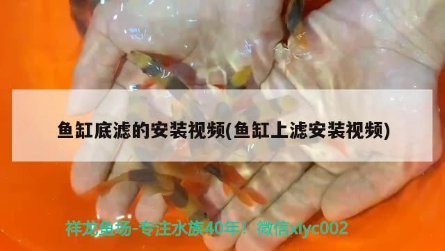西安魚(yú)缸定制廠家電話號(hào)碼多少的簡(jiǎn)單介紹（西安魚(yú)缸定制廠家）
