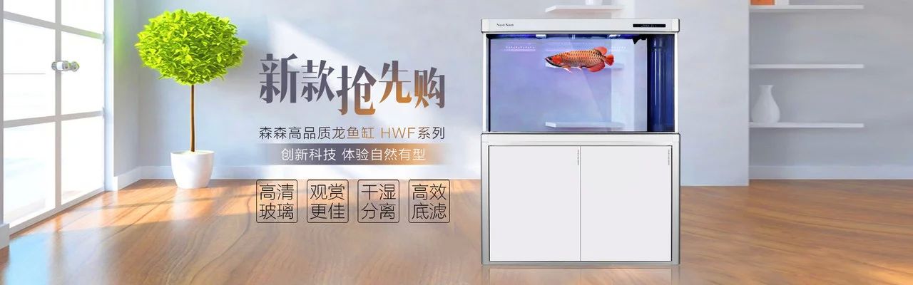 萊蕪森森魚缸專賣店：萊蕪森森魚缸專賣店怎么樣