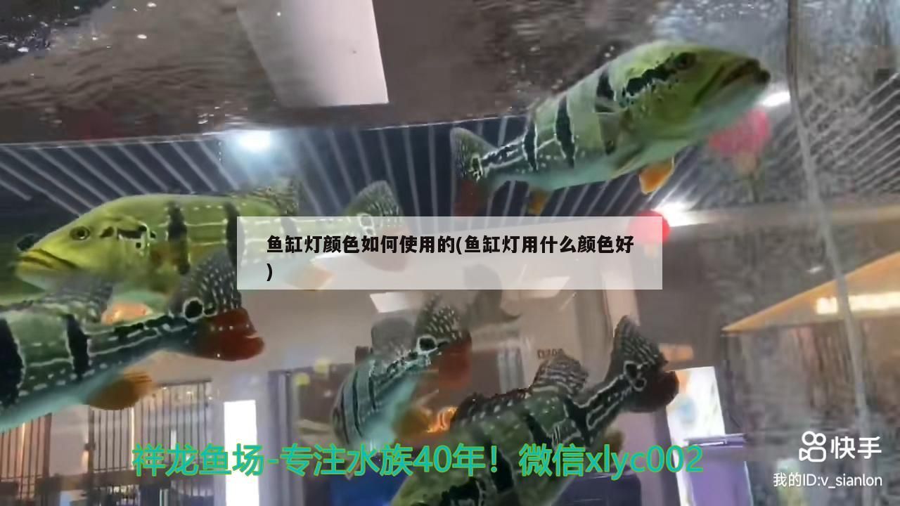 魚缸燈顏色如何使用的(魚缸燈用什么顏色好)（魚缸燈用什么顏色好）