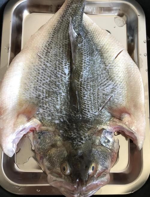 廣東特產魚推薦(廣東特產魚是廣東人餐桌上的常客) 觀賞魚百科 第2張 廣東特產魚推薦(廣東特產魚是廣東人餐桌上的常客) 廣東特產魚推薦(廣東特產魚是廣東人餐桌上的常客) 觀賞魚百科 第2張