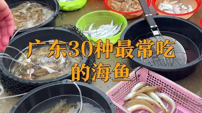 廣東特產魚推薦（廣東特產魚是廣東人餐桌上的常客） 廣東特產魚推薦（廣東特產魚是廣東人餐桌上的常客） 觀賞魚百科 第12張