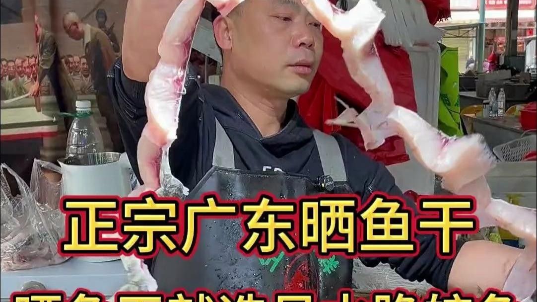 廣東特產魚推薦（廣東特產魚是廣東人餐桌上的常客） 廣東特產魚推薦（廣東特產魚是廣東人餐桌上的常客） 觀賞魚百科 第11張