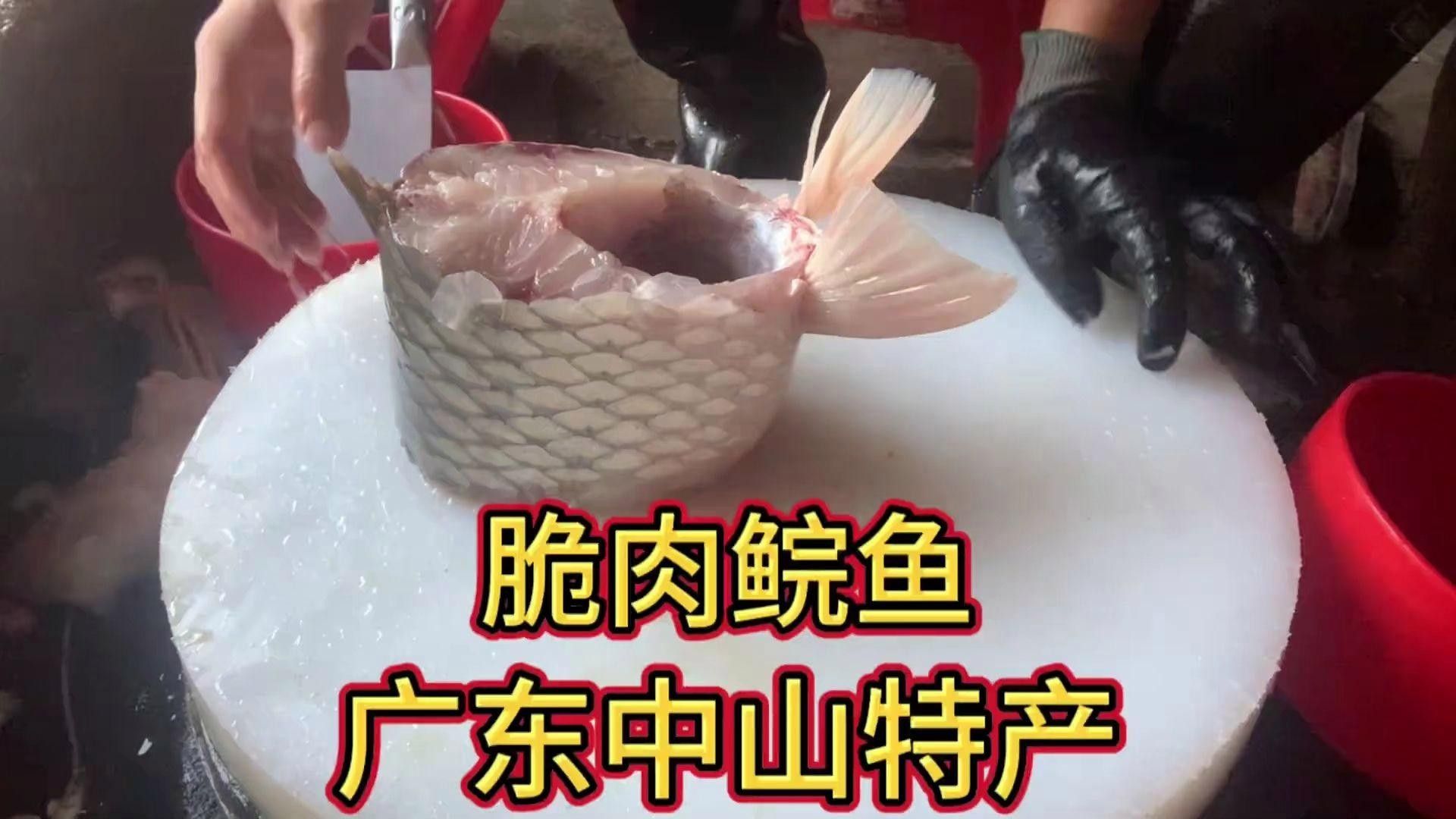 廣東特產魚推薦（廣東特產魚是廣東人餐桌上的常客） 廣東特產魚推薦（廣東特產魚是廣東人餐桌上的常客） 觀賞魚百科 第13張